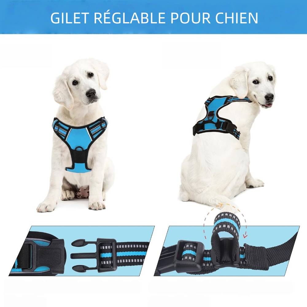 Harnais Anti Traction pour pour Moyen Chien m - IntiMeg - Image 2