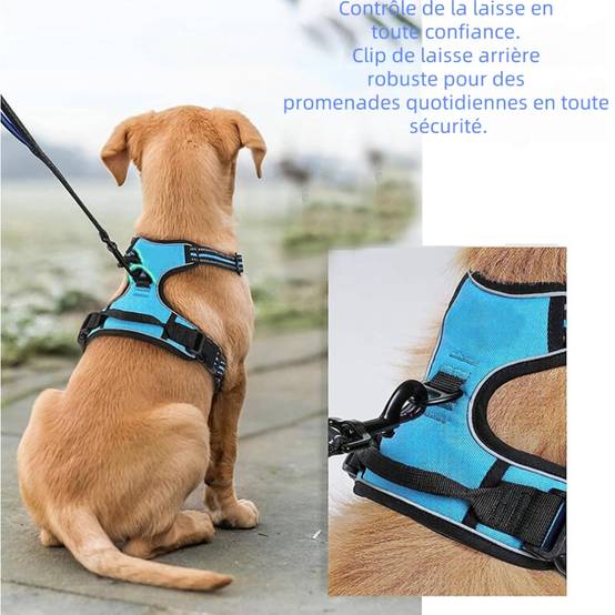 Harnais Anti Traction pour pour Moyen Chien m - IntiMeg - Image 3