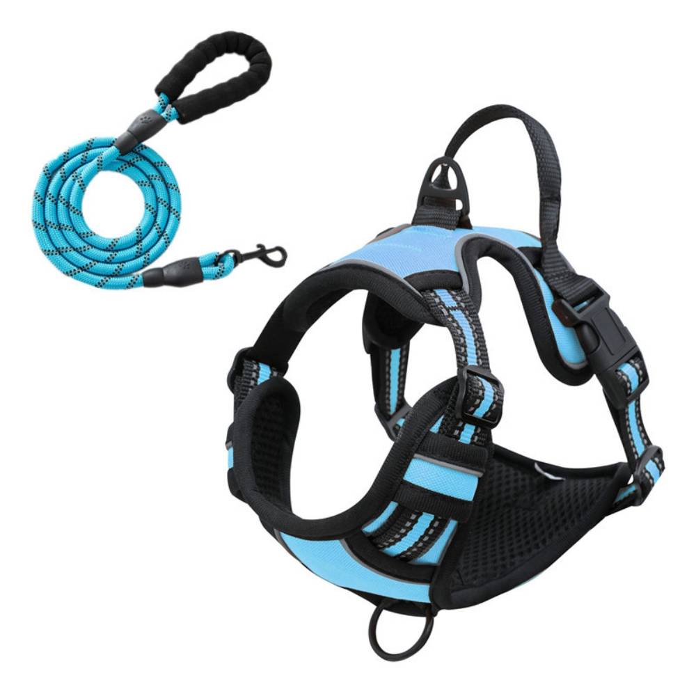 Harnais Anti Traction pour pour Moyen Chien m - IntiMeg - Image 5
