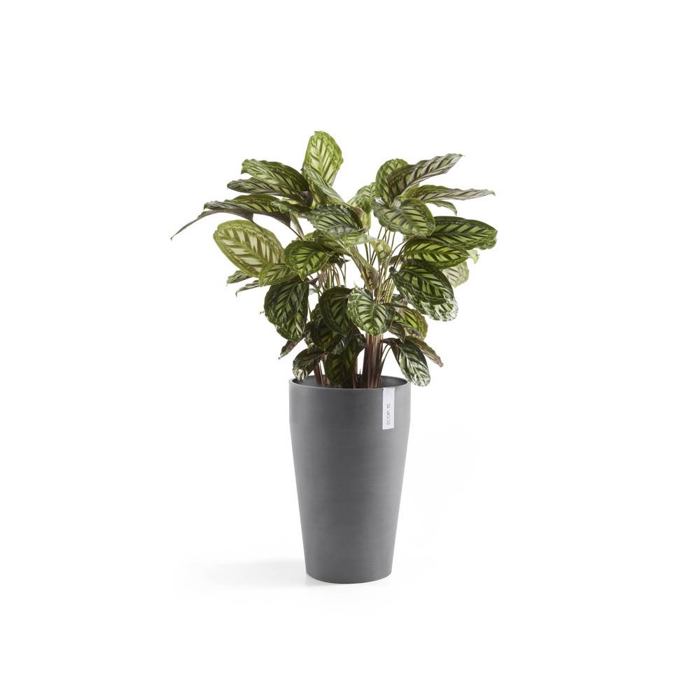 Ecopots - Pot Haut Sankara 55 Gris - Ø 35 x H. 55 cm - 36 L ECOPOTS - Imagen 3