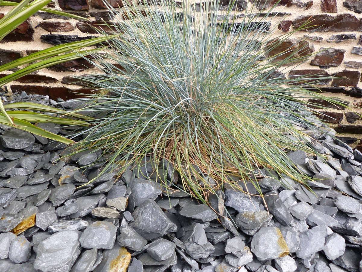 ClassGarden - Paillage Ardoise GRIS  30-60  Pack 10 m² - 24 sacs - 600 kg