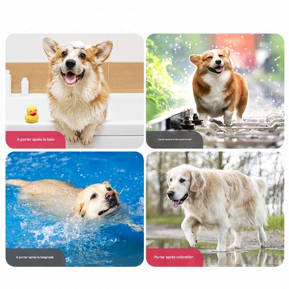 IntiMeg - Robe de bain pour grand chien M IntiMeg - Image 3