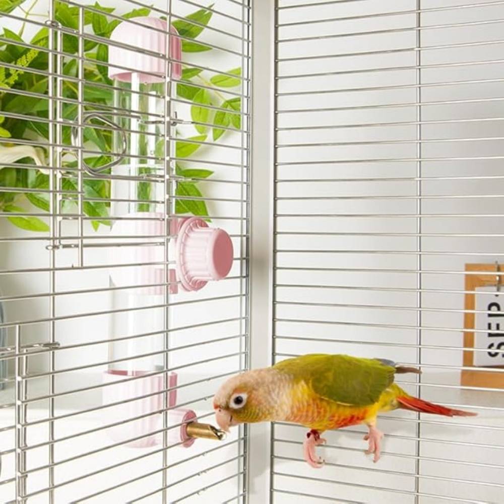 DtopbuyAge - Distributeur D'eau Automatique Rose 280 Ml Pour Oiseaux DtopbuyAge - Image 2