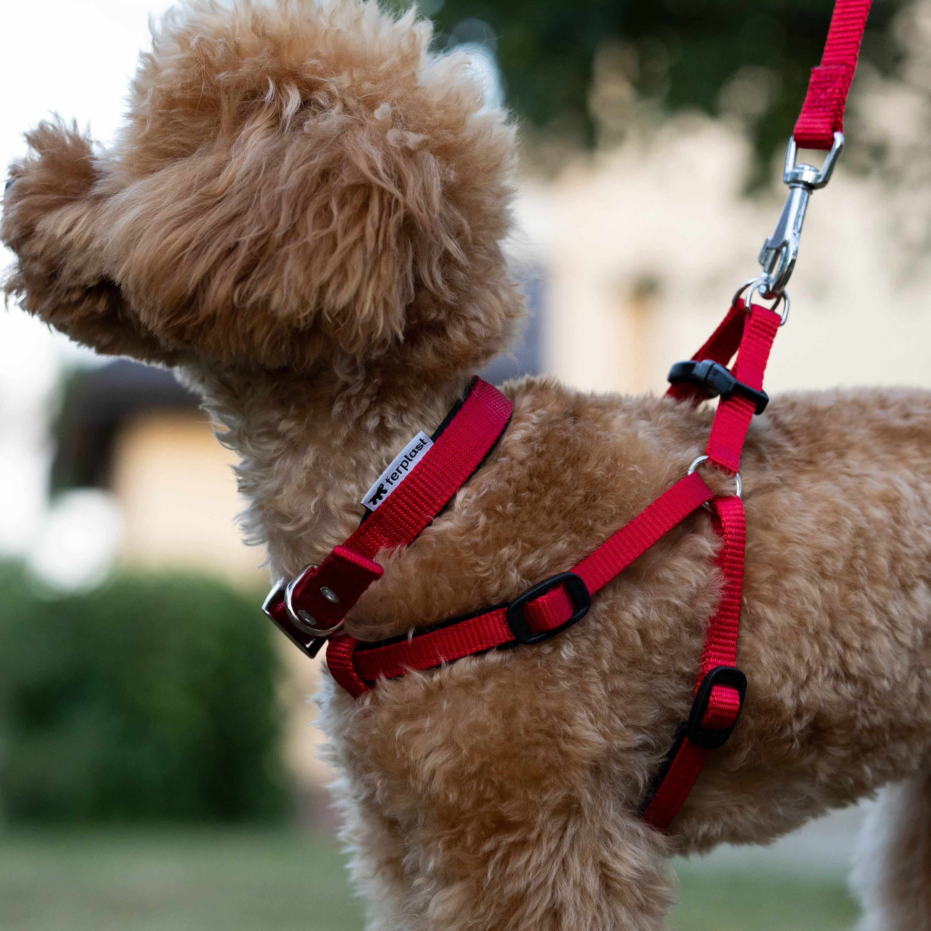 Ferplast - Harnais nylon chien rembourrage simple FERPLAST DAYTONA plusieurs tailles couleurs - Imagen 3
