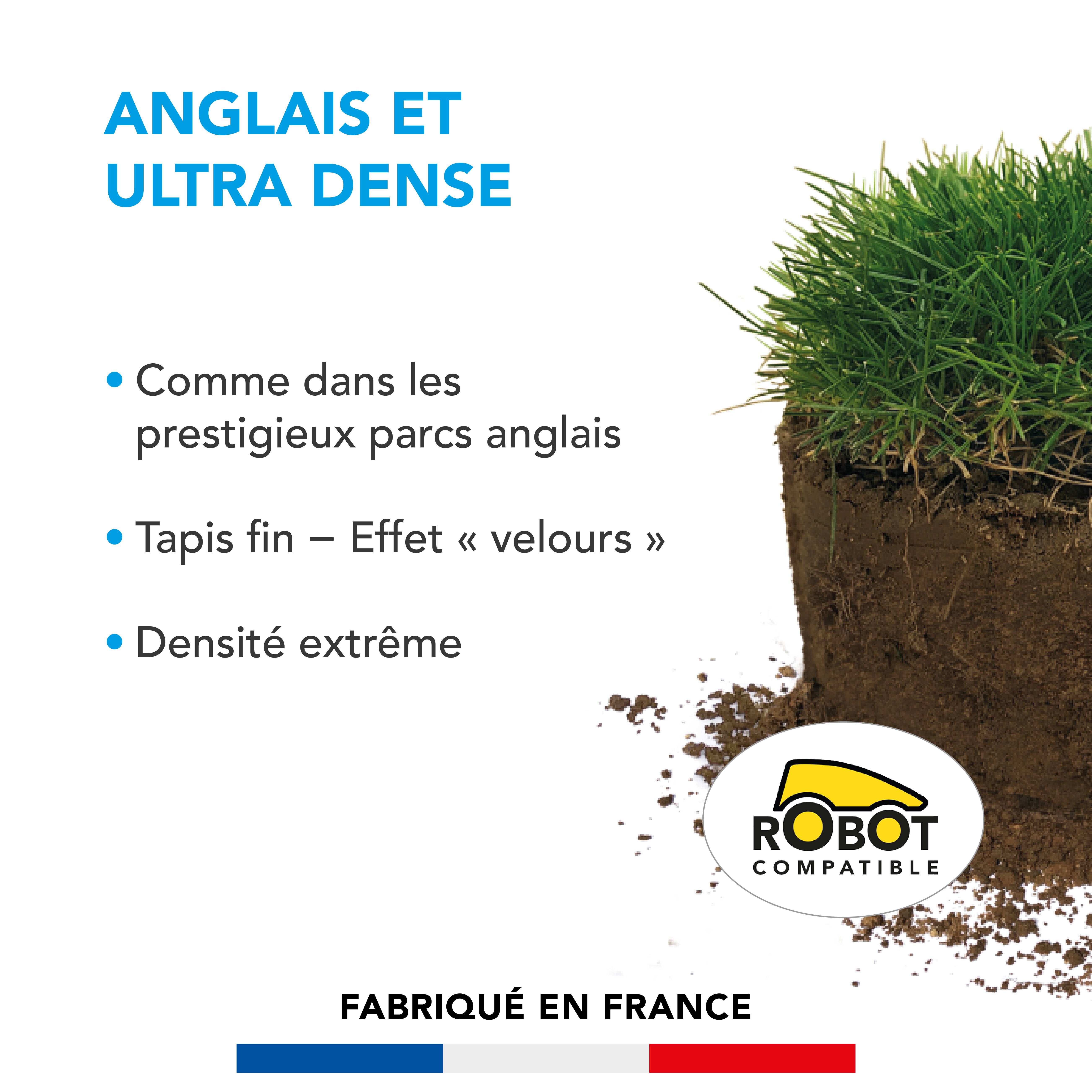 Gazon Anglais et Ultra dense - Aspect Prestigieux Parcs Anglais - Tapis Dense Effet velours - Densité Extrême - 5KG - BARENBRUG - Image 2