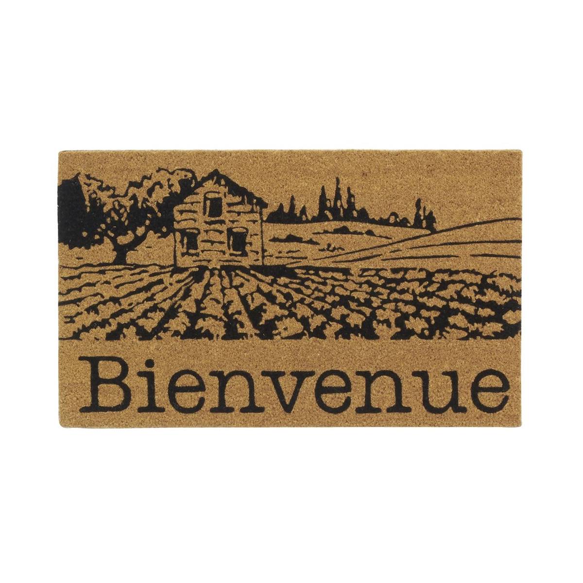 Aubry Gaspard - Paillasson coco intérieur extérieur 75 x 45 cm Village de Provence bienvenue - Imagen 1