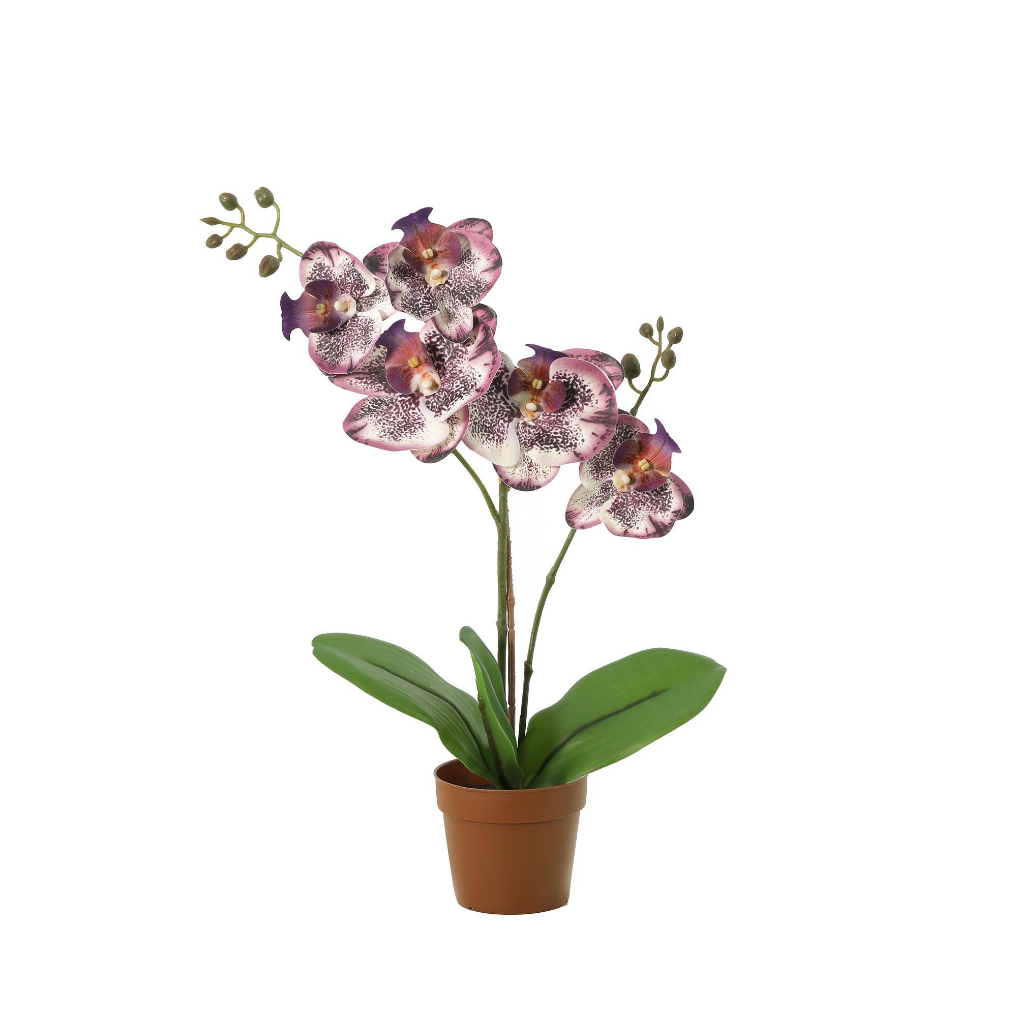 Phalaenopsis orchidée violet - 41cm - Ø9cm - Plante artificielle - Image 1