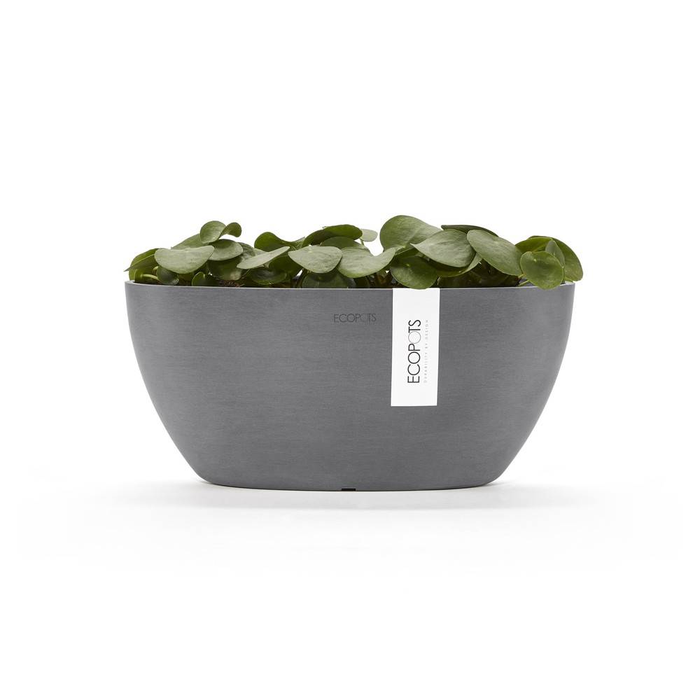 Ecopots - Pot Ovale Sofia 30 Gris + réservoir d'eau - 30 x 13 x H. 13,5 cm - 2,7 L ECOPOTS - Imagen 3
