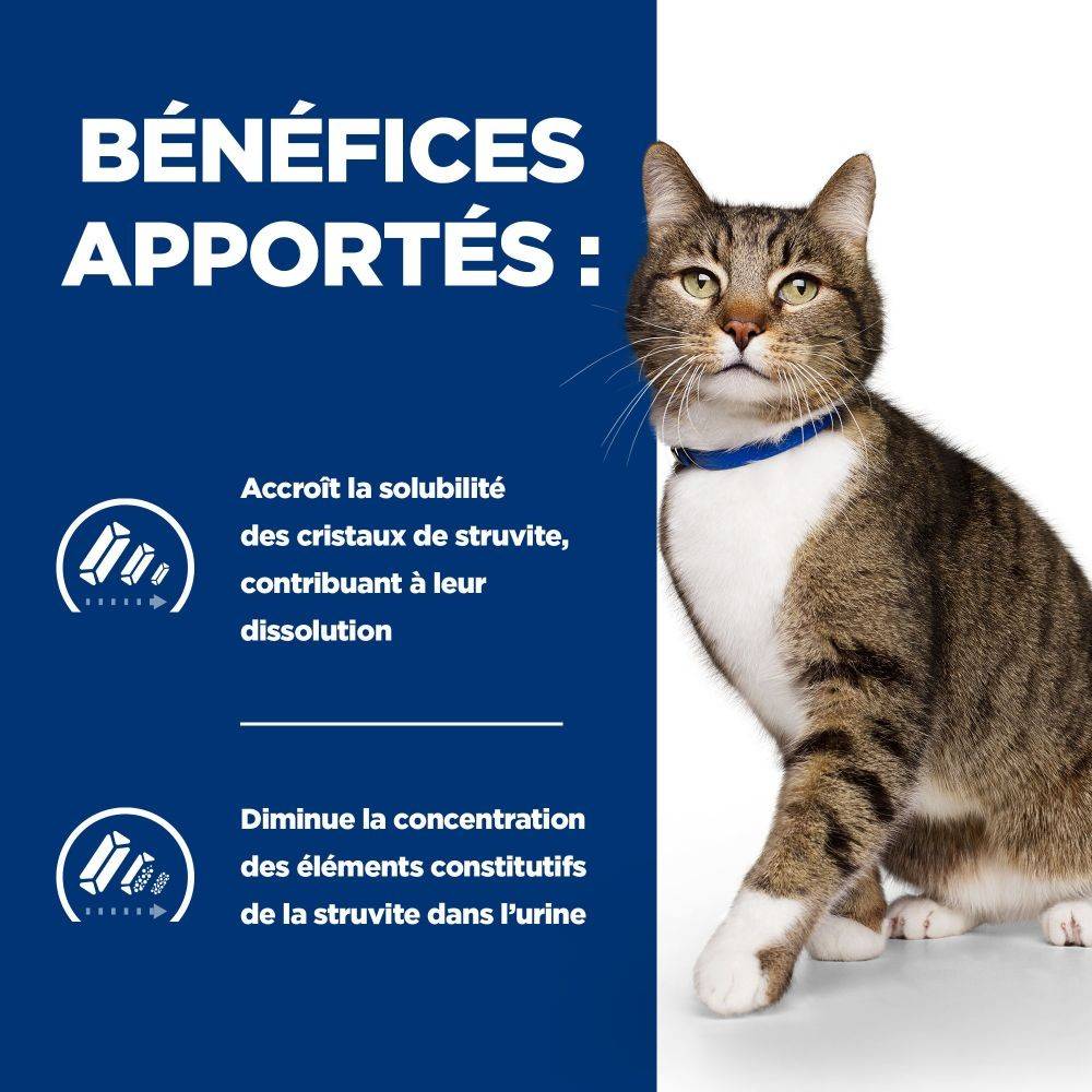 CROQUETTES CHAT ADULT PRESCRIPTION DIETS S/D URINARY CARE - HILL'S 3 kg - Image 3