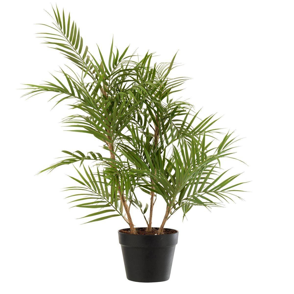 Plante Artificielle "Palmier en Pot" 84cm Vert - Image 1
