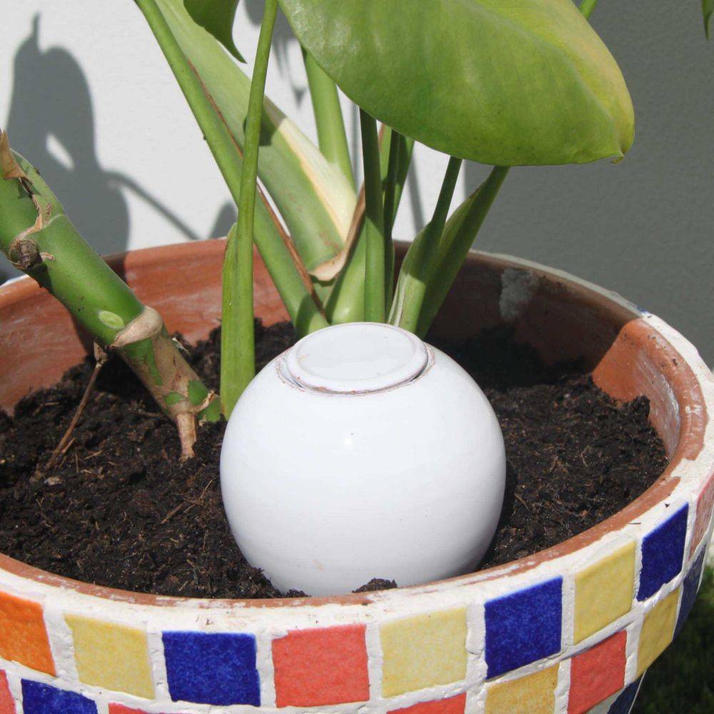 Ollas Lutton - Ollas para plantar en arcilla Medium - Imagen 2