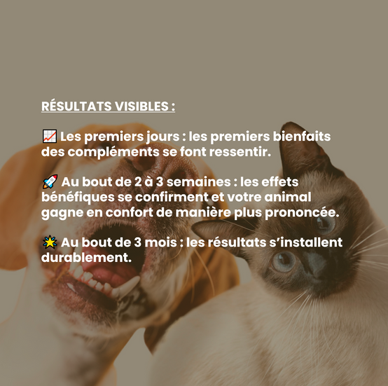 Complément alimentaire vétérinaire - Mobilité (articulations) chat 50 mL - VetyVert - Image 6