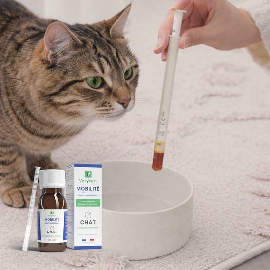 Complément alimentaire vétérinaire - Mobilité (articulations) chat 50 mL - VetyVert - Image 2