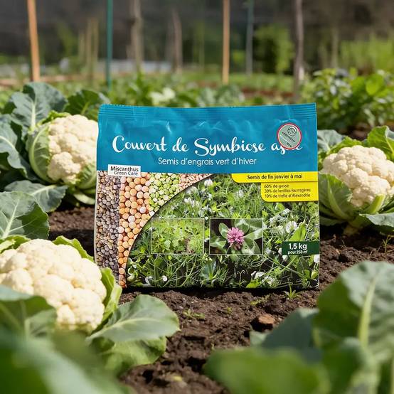Autre - Semis d'Engrais Vert d'Hiver - Permaculture Fertile® (Sac de 1,5kg) - Image 3