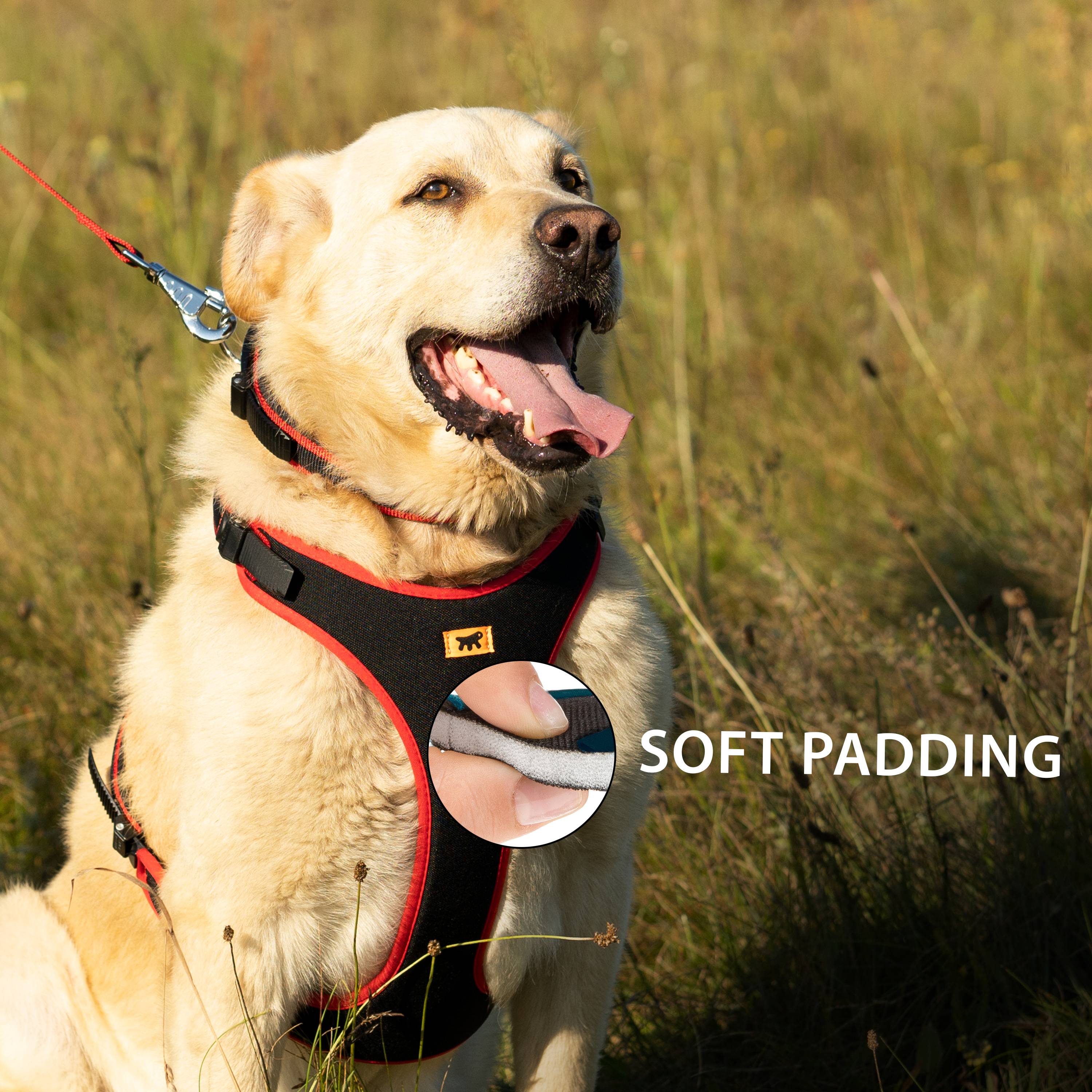 Ferplast - Ferplast Harnais pour chien grande taille ERGOCOMFORT EXTRA LARGE, Harnais pour chien réglable, Confortable, Rembourré, Fermeture double - Imagen 8