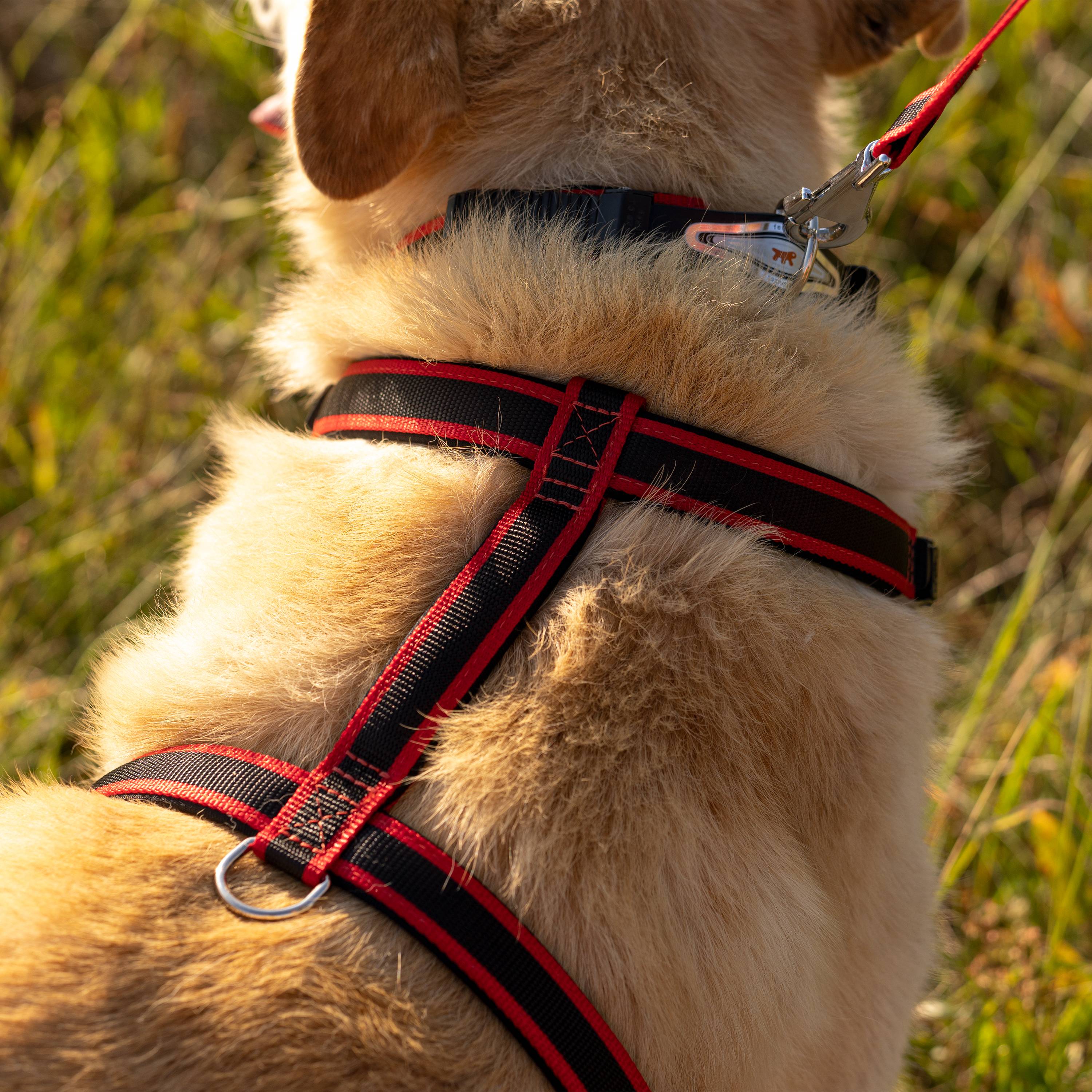 Ferplast - Ferplast Harnais pour chien grande taille ERGOCOMFORT EXTRA LARGE, Harnais pour chien réglable, Confortable, Rembourré, Fermeture double - Imagen 4
