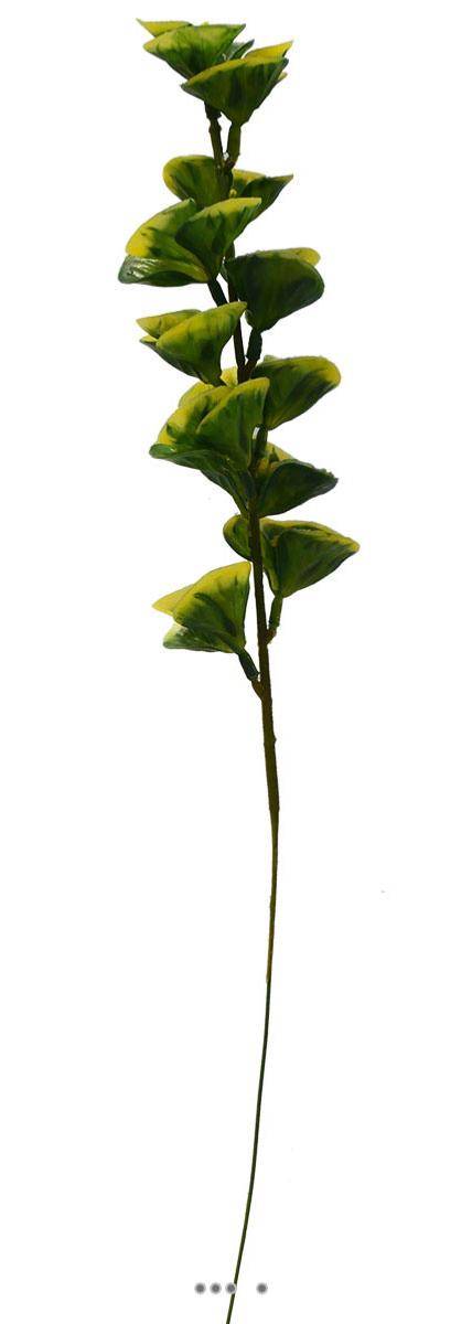 Artificielles - Bupleurum en pic plastique artificiel panache H 40 cm panache - Imagen 1