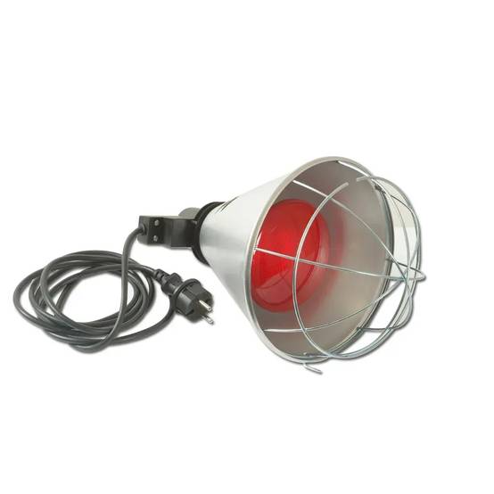 Kit de démarrage pour élevage de poussins - Image 8