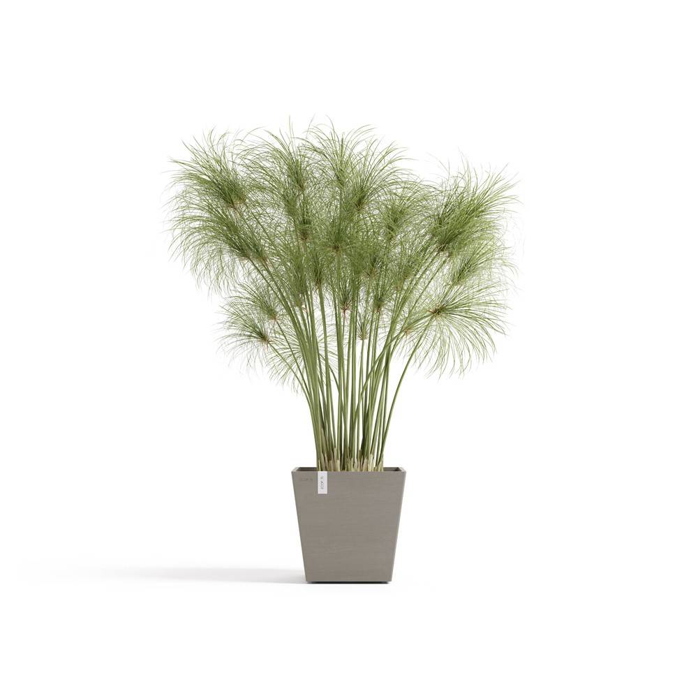 Ecopots - Pot Carré Rotterdam 25 Taupe + réservoir d'eau - 25,2 x 25,2 x H. 24,5 cm - 10,7 L ECOPOTS - Imagen 1