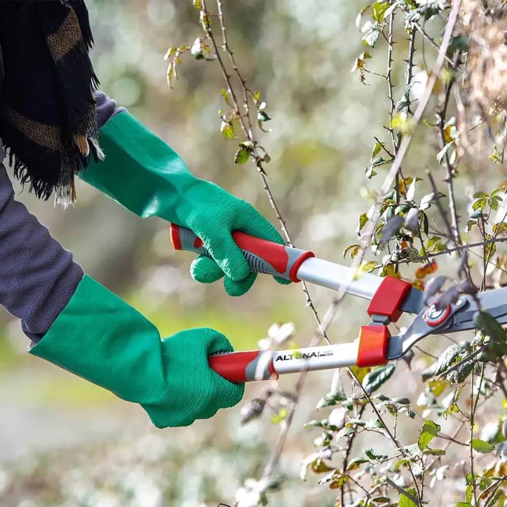 Blackfox - Gants de Jardin Roncier - Protection Anti-Épineux Black Fox - Image 3