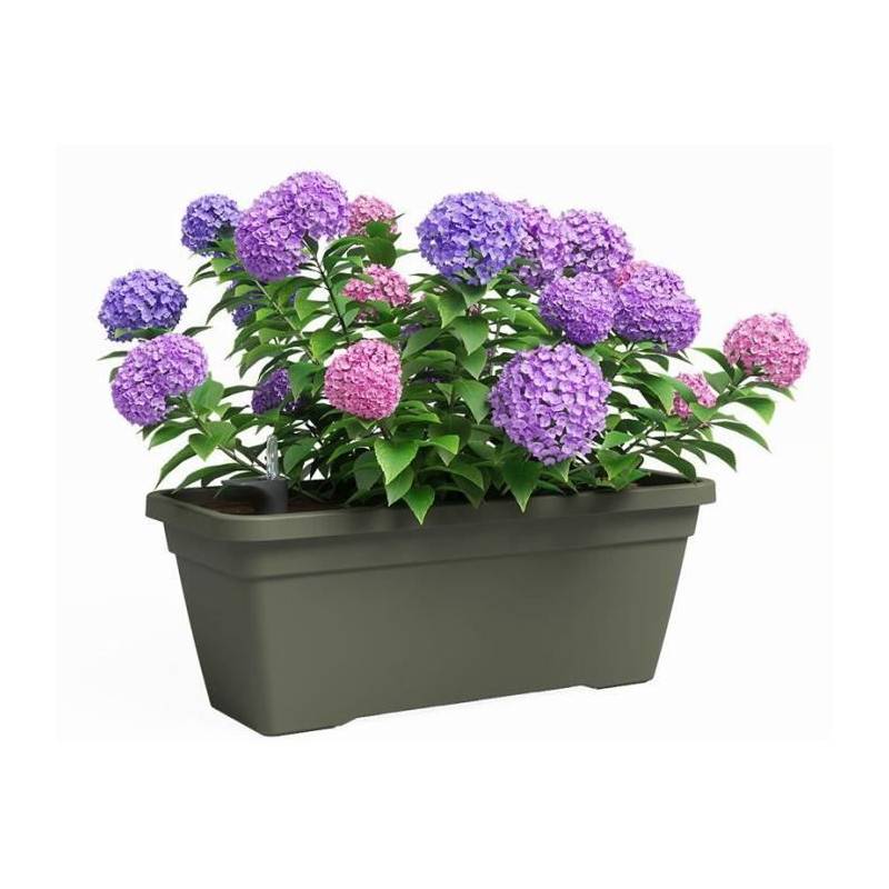 Artevasi - Jardiniere - Plastique - Vert Sec - Rectangulaire - L77,9 X P24 X H22cm - Artevasi - Imagen 2