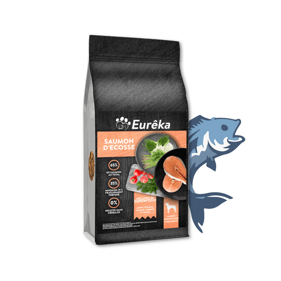 Croquettes chien adulte holistic sans céréales - Saumon d'Ecosse - 2 Kg - Image 1