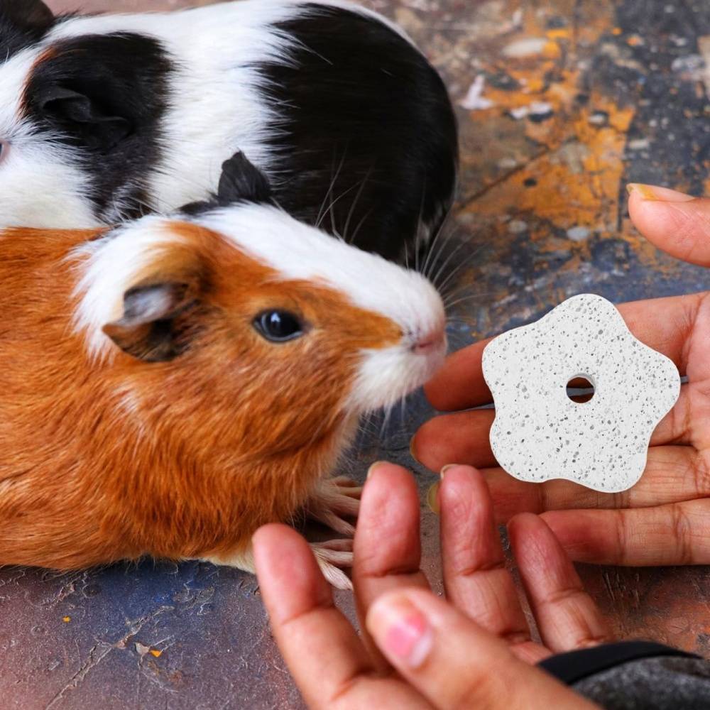Pierre molaire jouet en pumice pour hamsters et petits animaux DtopbuyAge - Image 2