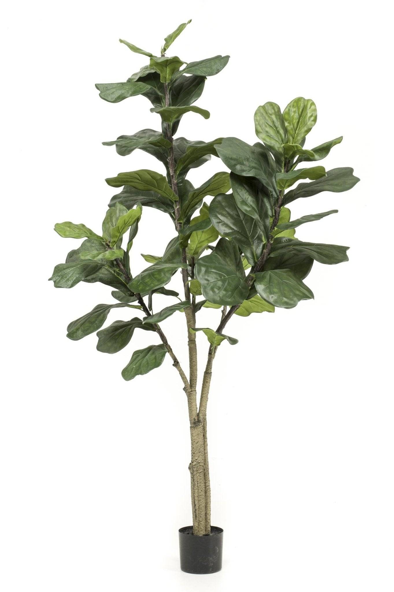 La Green Touch - Ficus Lyrata plante artificielle h180cm, Ø17cm- La Green Touch - Imagen 3