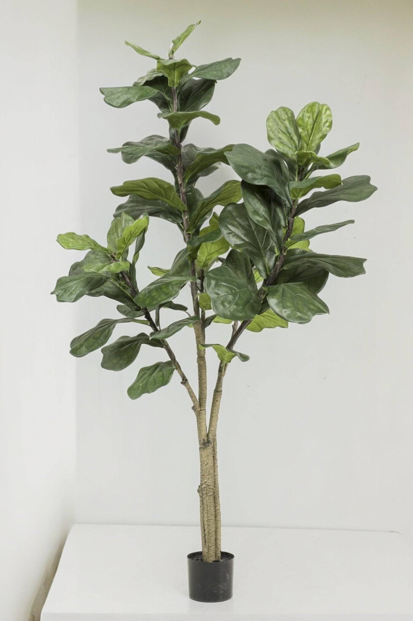 La Green Touch - Ficus Lyrata plante artificielle h180cm, Ø17cm- La Green Touch - Imagen 1