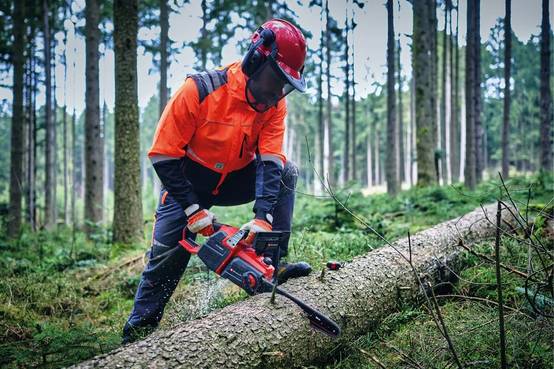Einhell - Tondeuse sans fil GP-LC 36/40 Li BL Solo - 36V - brushless - coupé 40cm - bac 50L - sans batterie/chargeur Einhell - Image 2