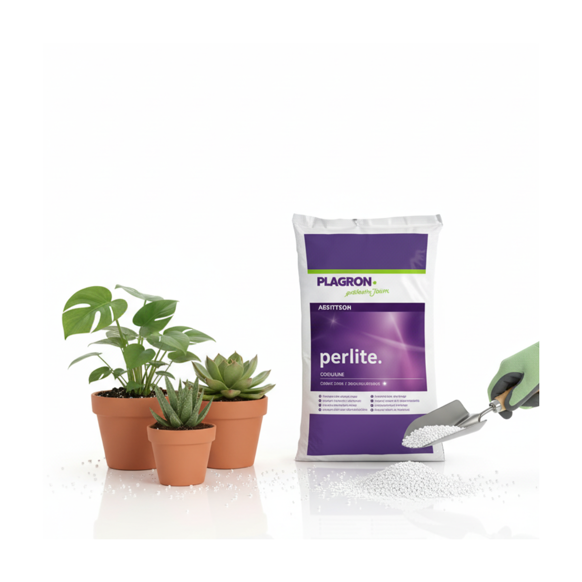 Plagron - Perlite 10 litres - Image 3