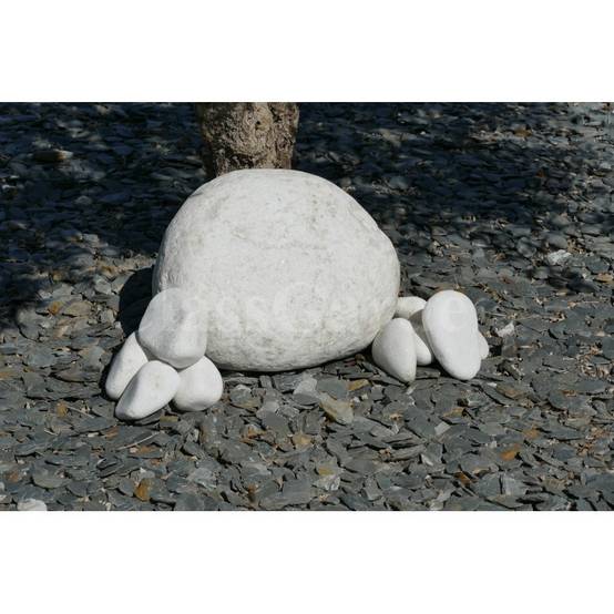 Gros Galet BLANC 350-500 - Image 2