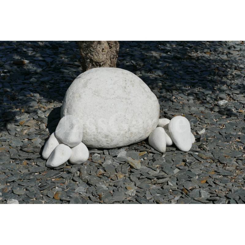 Gros Galet BLANC 350-500 - Image 2