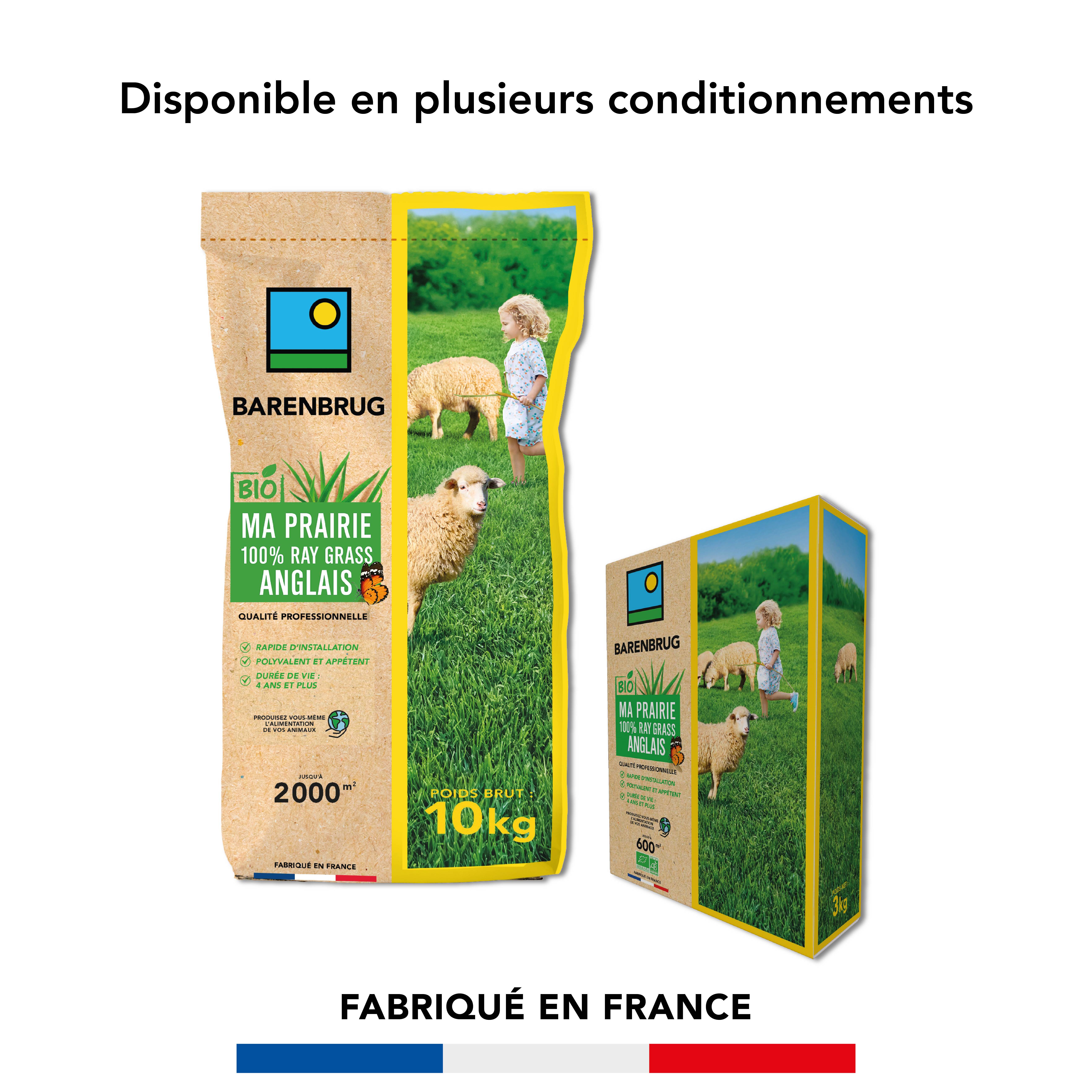 Prairie 100% Ray-grass anglais - Rapide d'Installation - Polyvalente et Appétente - Très Bonne Pérennité 4 ans et + - 3KG - BARENBRUG - Image 5