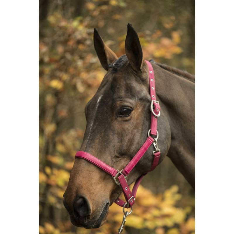 Licol LAMI-CELL "LC" - Taille cheval Lami-Cell Couleurs Framboise - Imagen 2