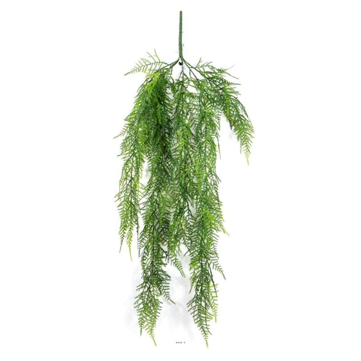 Chute d'asparagus artificiel L 75cm vert - Image 1