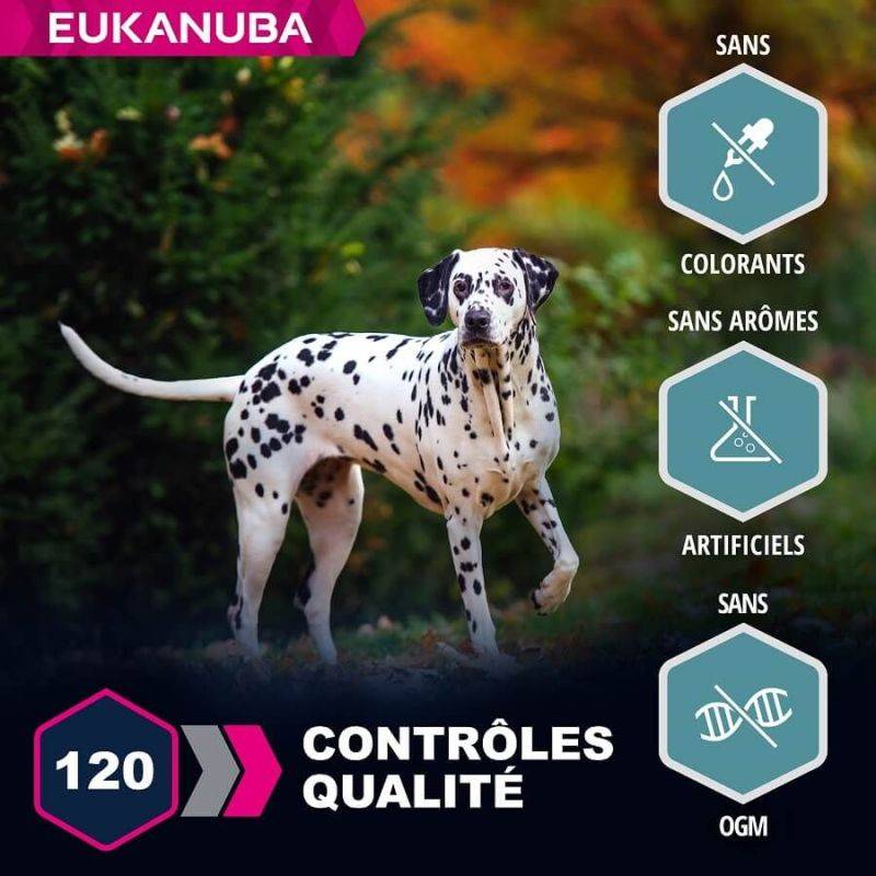 Eukanuba - CROQUETTES CHIEN ADULT SAUMON LARGE - EUKANUBA 2,5 kg - Imagen 3