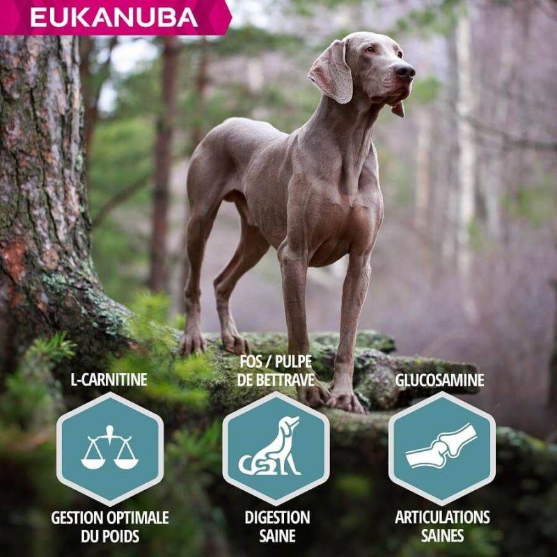Eukanuba - CROQUETTES CHIEN ADULT SAUMON LARGE - EUKANUBA 2,5 kg - Imagen 4