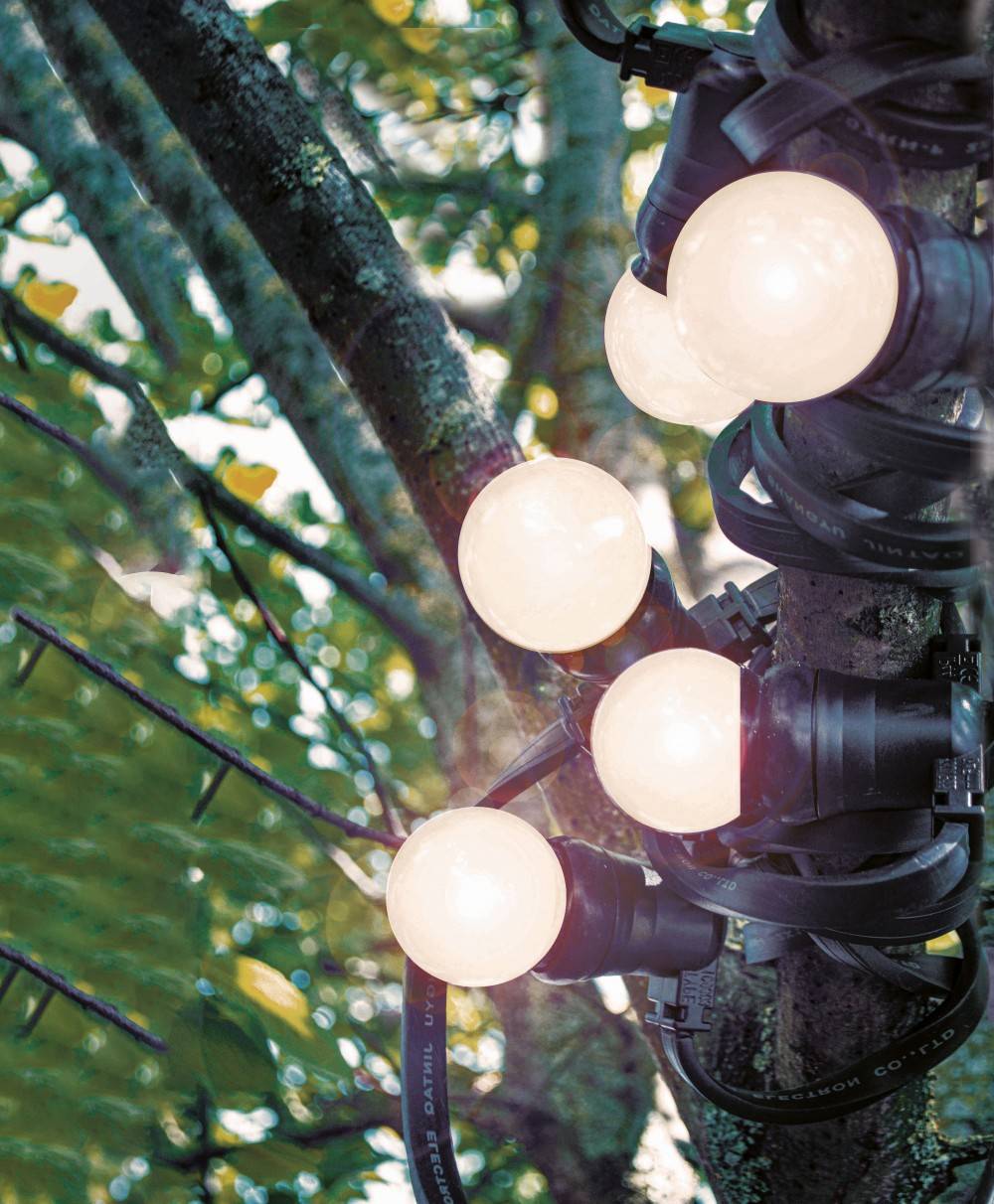 Tibelec - Guirlande extérieure 10 ampoules B22 blanc chaud 500 lumens Pro 10m TIBELEC TIBELEC - Imagen 2