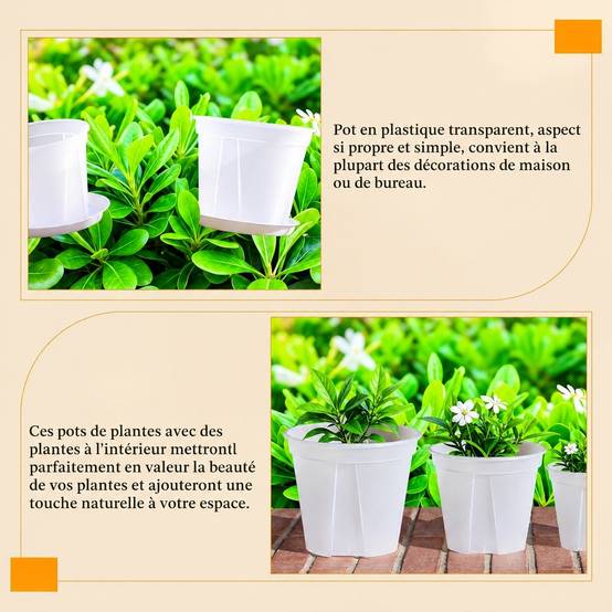 Pot Transparent avec Trous pour Plantes Cactus Succulentes - Image 8