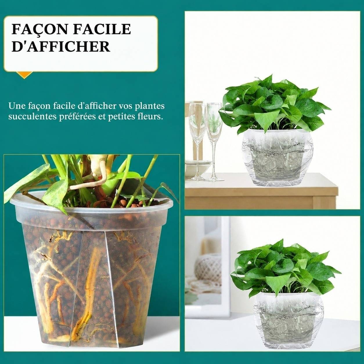 Pot Transparent avec Trous pour Plantes Cactus Succulentes - Image 5