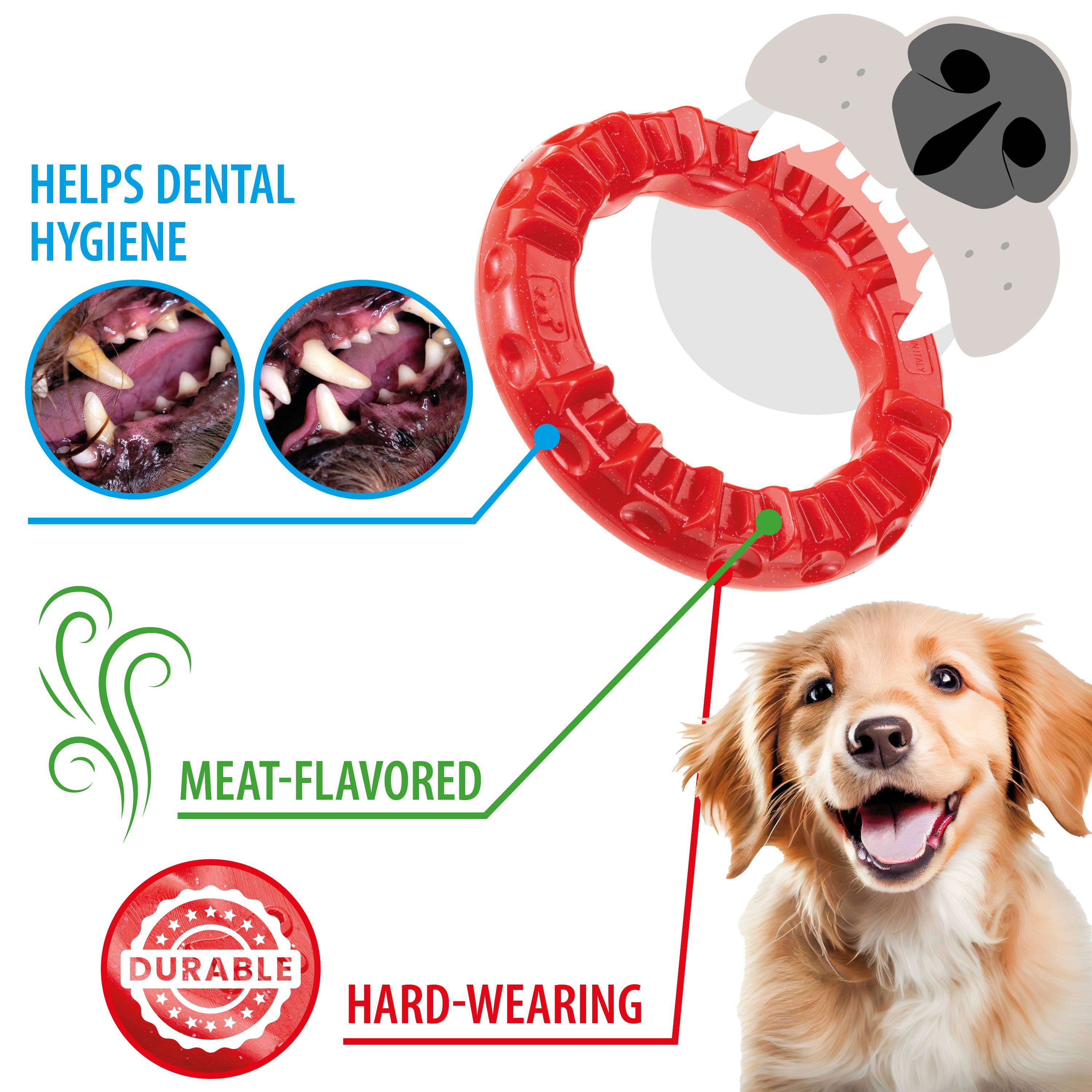 Ferplast - Ferplast Jouet Chien, Anneau Distributeur Croquettes Friandises pour Chien, en Matériau Durable à Mâcher, Arôme de Viande, pour l'Hygiène Dentaire, - Imagen 4