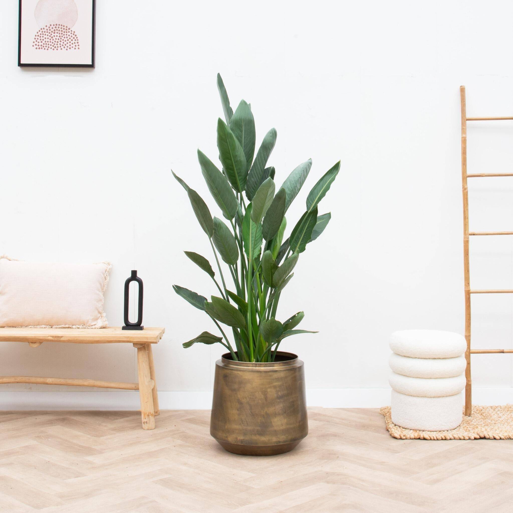 Pot Vintage Indigo Or 58 cm- La Green Touch - Imagen 4