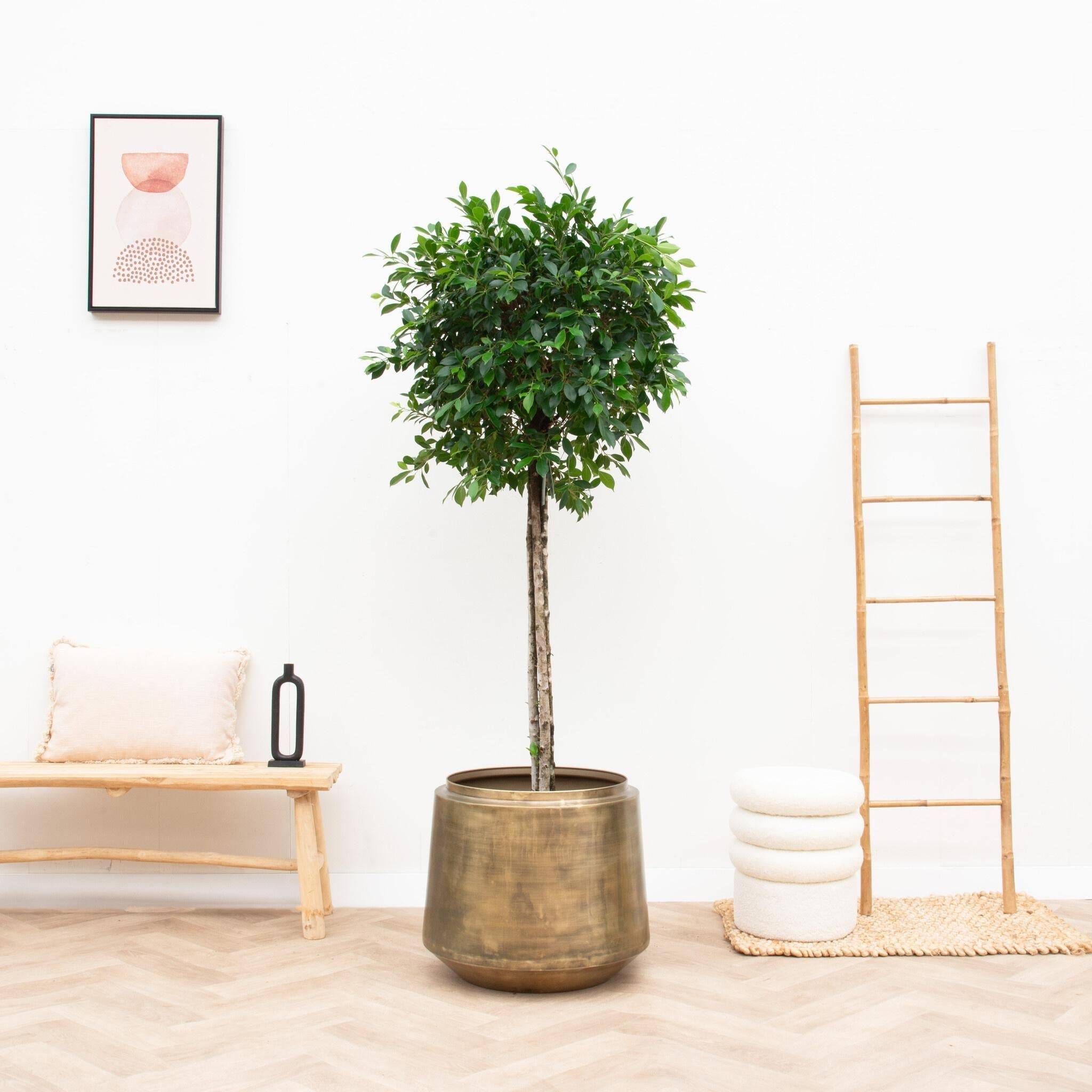 Pot Vintage Indigo Or 58 cm- La Green Touch - Imagen 3