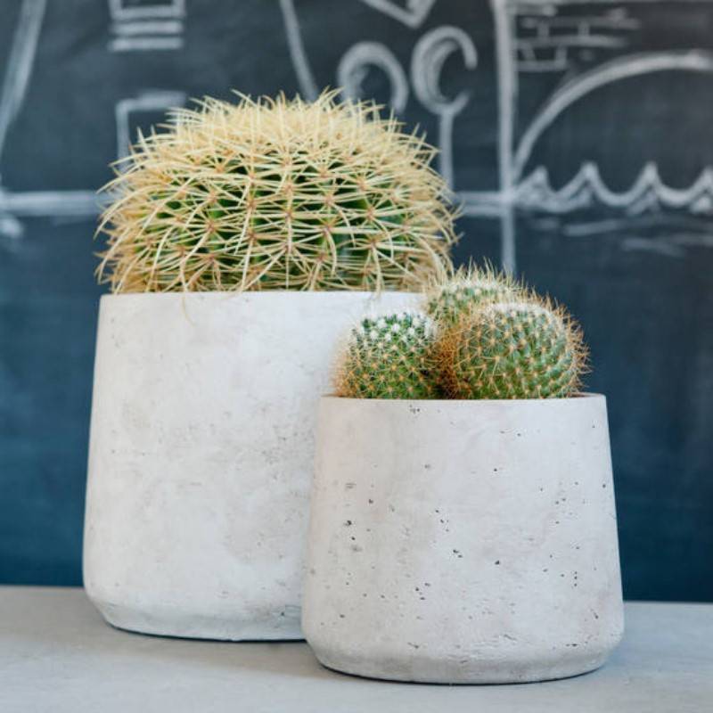 Pottery Pots - Pot Patt L Gris Effet béton 19.5cm - Pottery Pots - Imagen 2