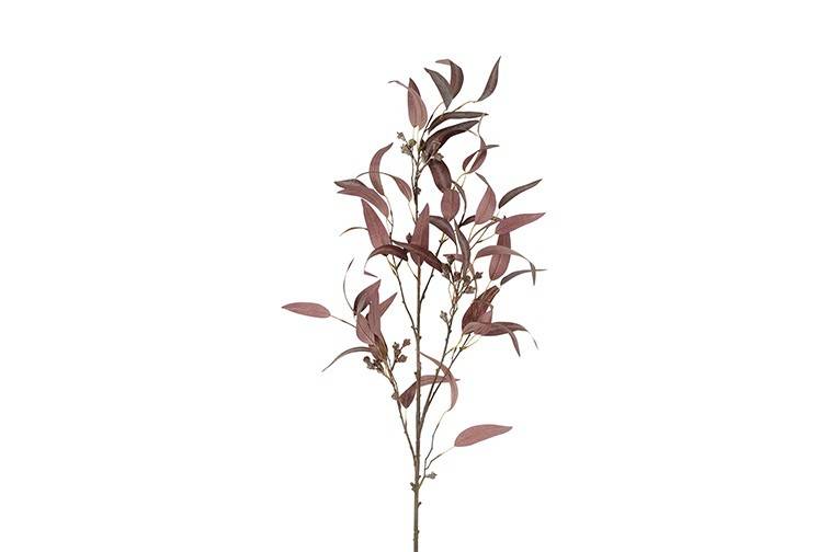 Feuille Eucalyptus L rouge indien-55x55x121CM