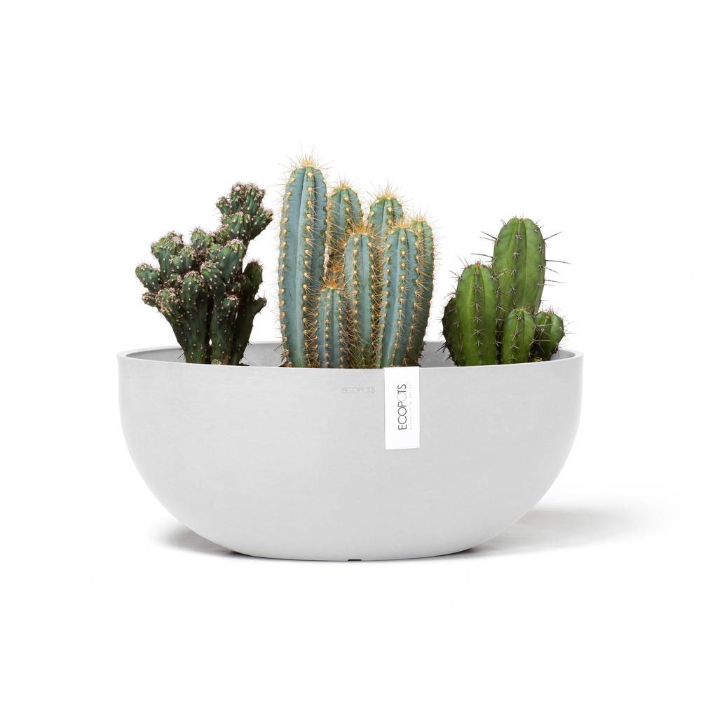 Ecopots - Pot Ovale Sofia Big 43 Blanc Pur + réservoir d'eau - 43 x 25 x H. 17,5 cm - 8,2 L ECOPOTS - Imagen 2