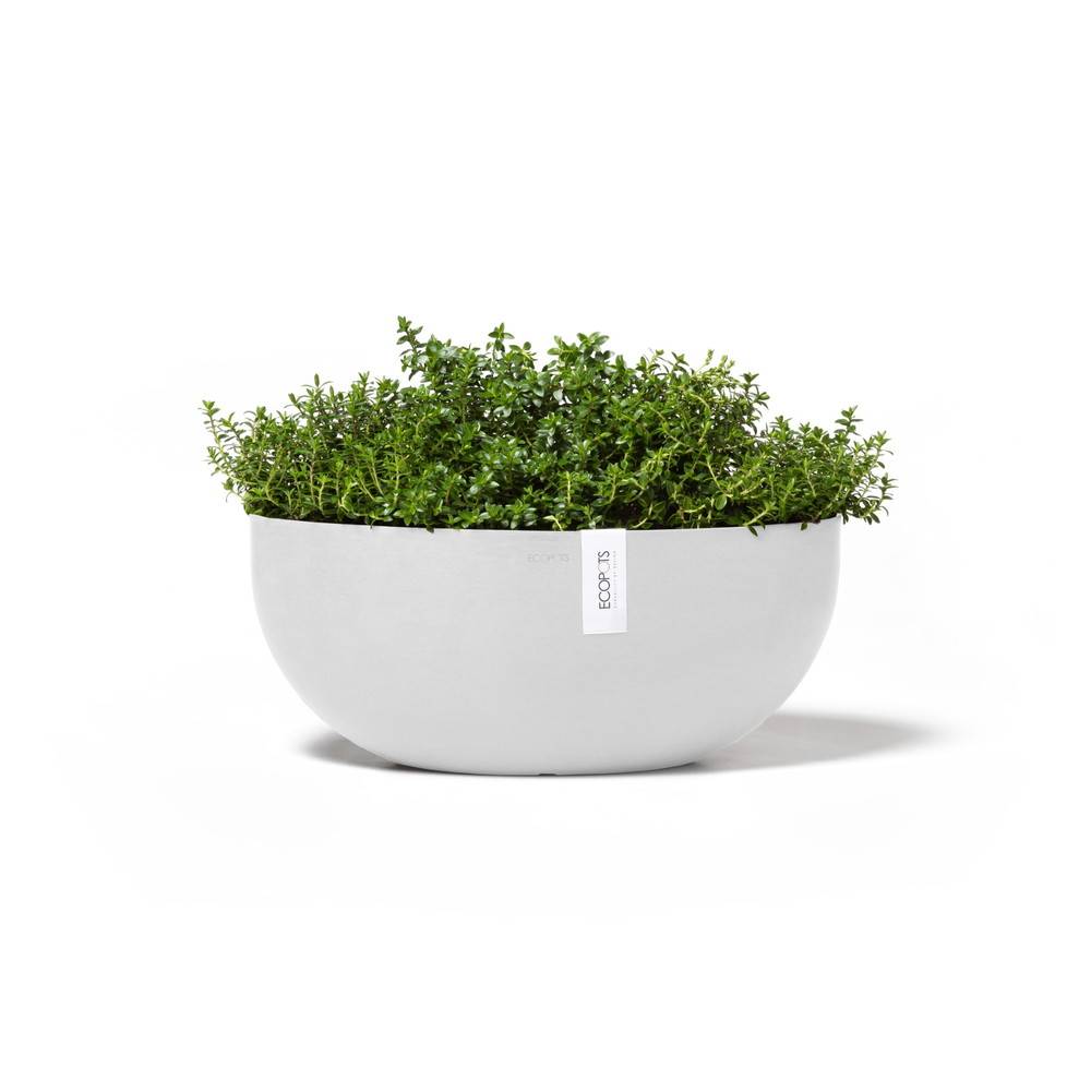 Ecopots - Pot Ovale Sofia Big 43 Blanc Pur + réservoir d'eau - 43 x 25 x H. 17,5 cm - 8,2 L ECOPOTS - Imagen 3