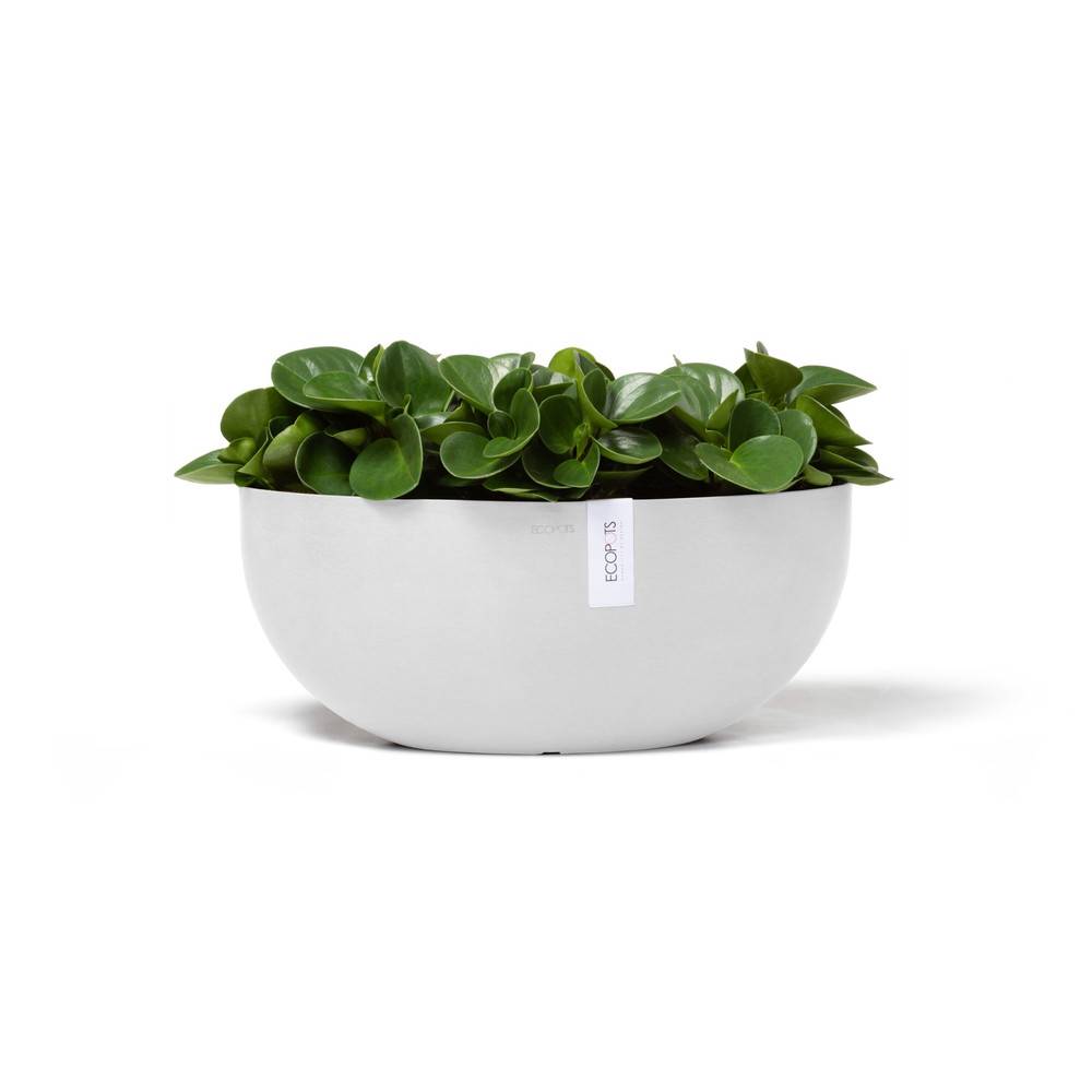 Ecopots - Pot Ovale Sofia Big 43 Blanc Pur + réservoir d'eau - 43 x 25 x H. 17,5 cm - 8,2 L ECOPOTS - Imagen 1