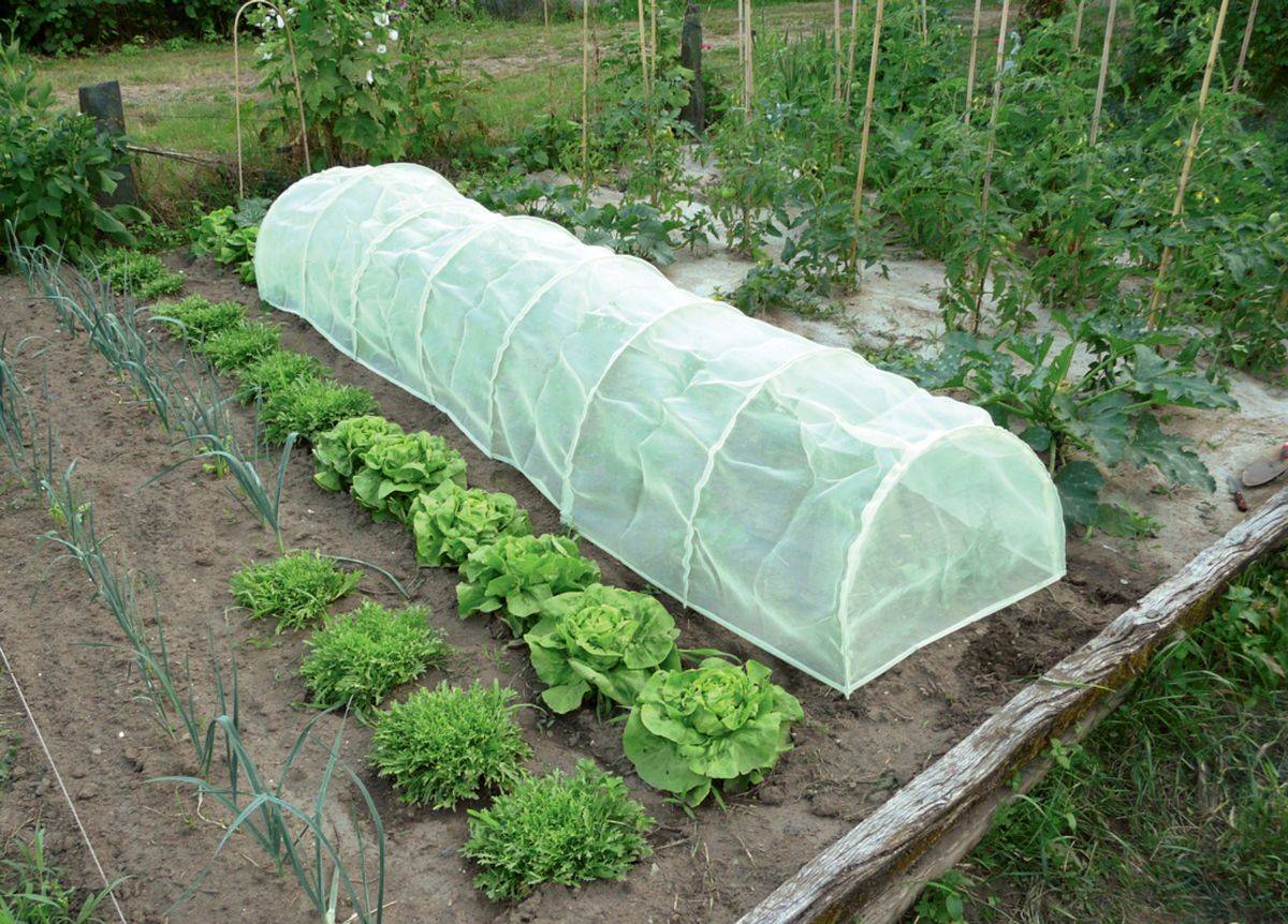 Nortène - Tunnel accordéon avec filet anti-insectes "Protect Tunnel" - 0,60 x 0,45 x 3 m Nortene